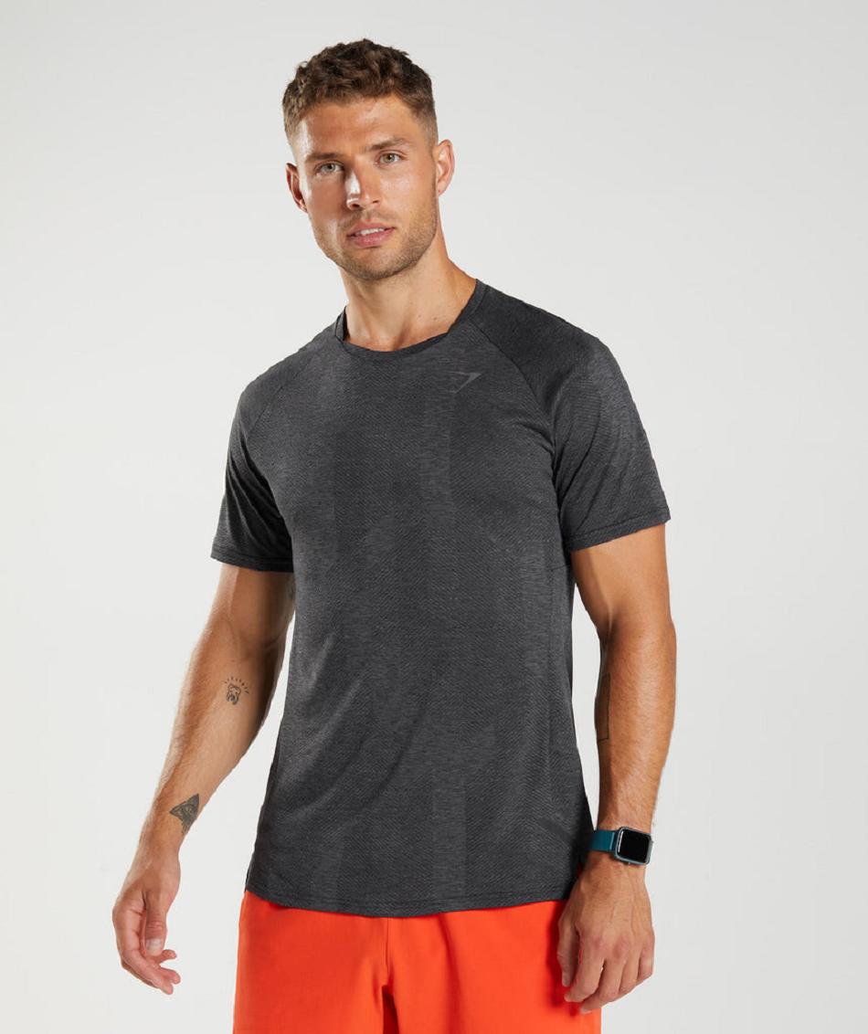 T Shirts Męskie Gymshark Apex Czarne Szare | PL 3839SGL